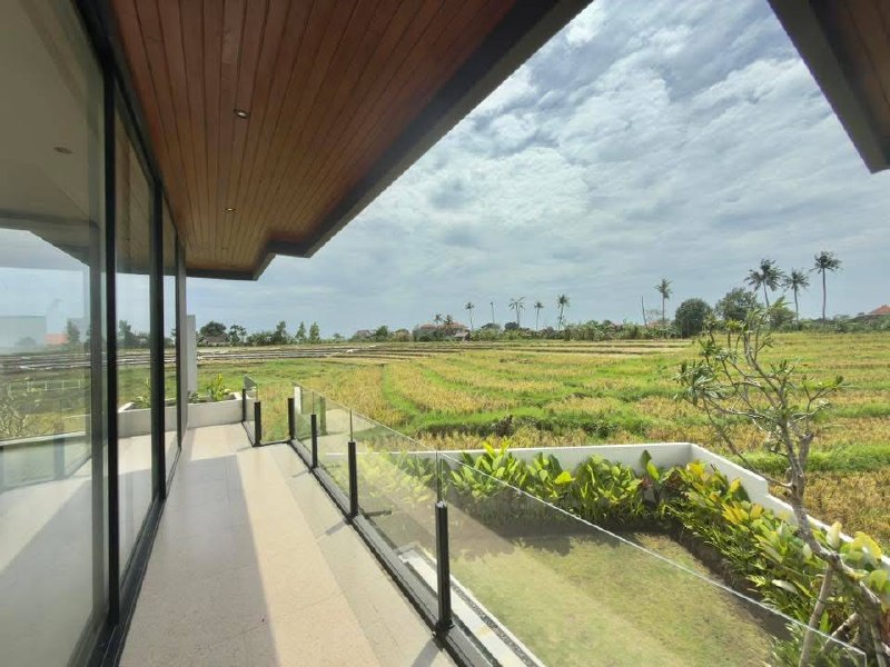 Brand-New Black Tropical Villa with Rice Terrace Views in Pererenan–Munggu