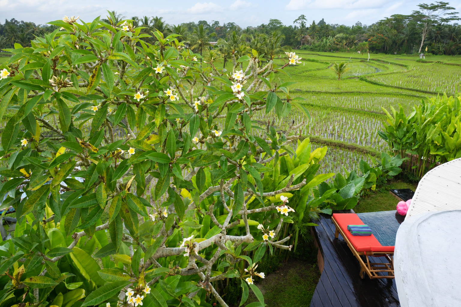 Villa Merah Merah — 1 Bedroom Villa for Rent in Ubud
